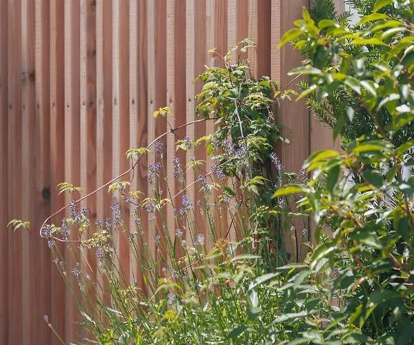 Mischmasch * דויטשלנדסברג